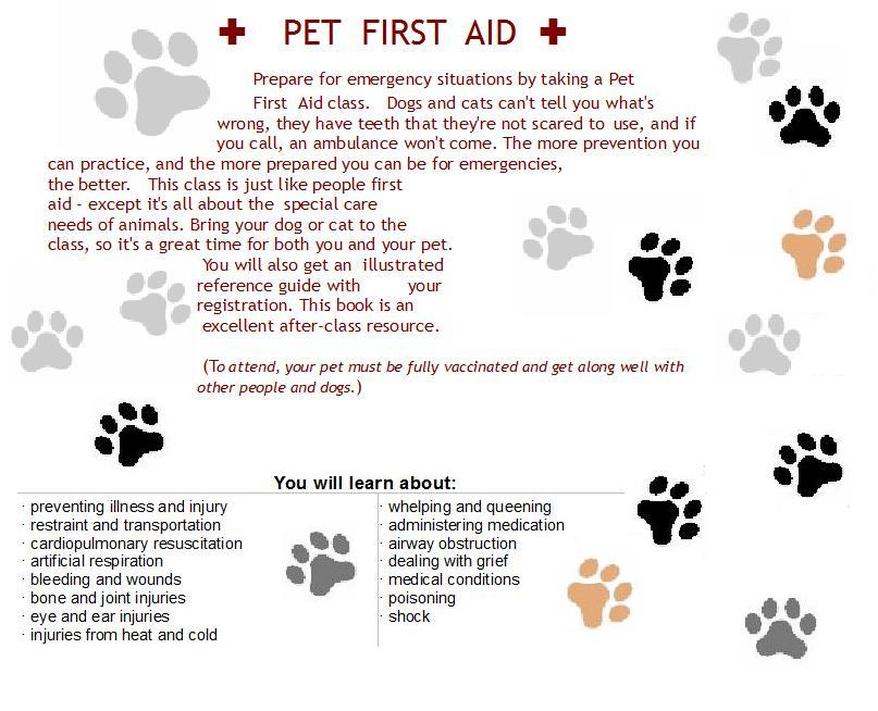 Picture-pet first aid